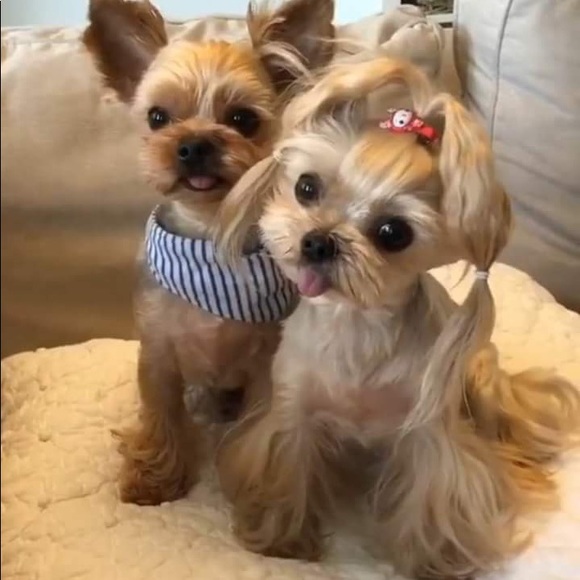 Meet your Posher, Ruth - Picture 1 of 1